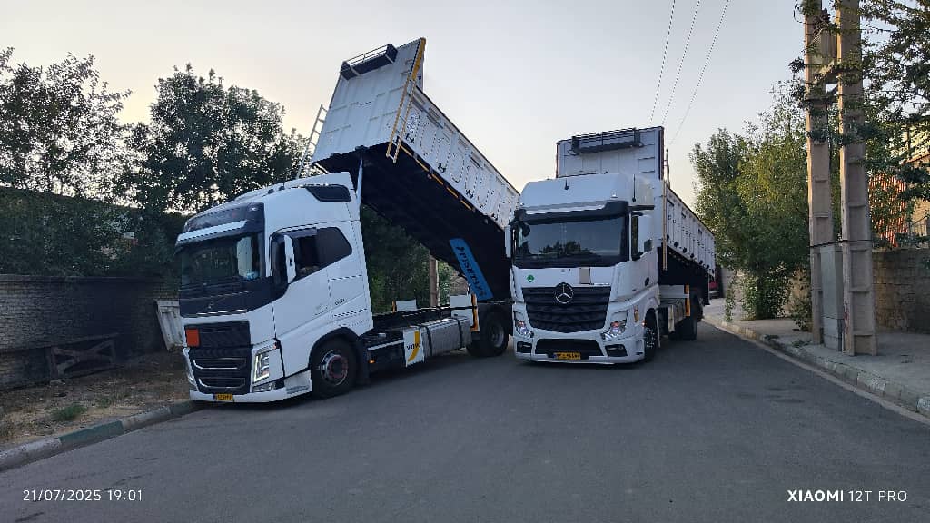 تخصص و تجربه